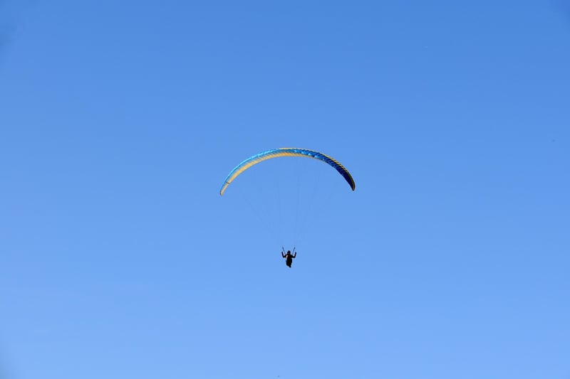 Adrenaline Rush